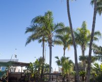 Obra nueva - Villa - San Pedro del Pinatar - San Pedro Del Pinatar