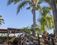 Obra nueva - Villa - San Pedro del Pinatar - San Pedro Del Pinatar