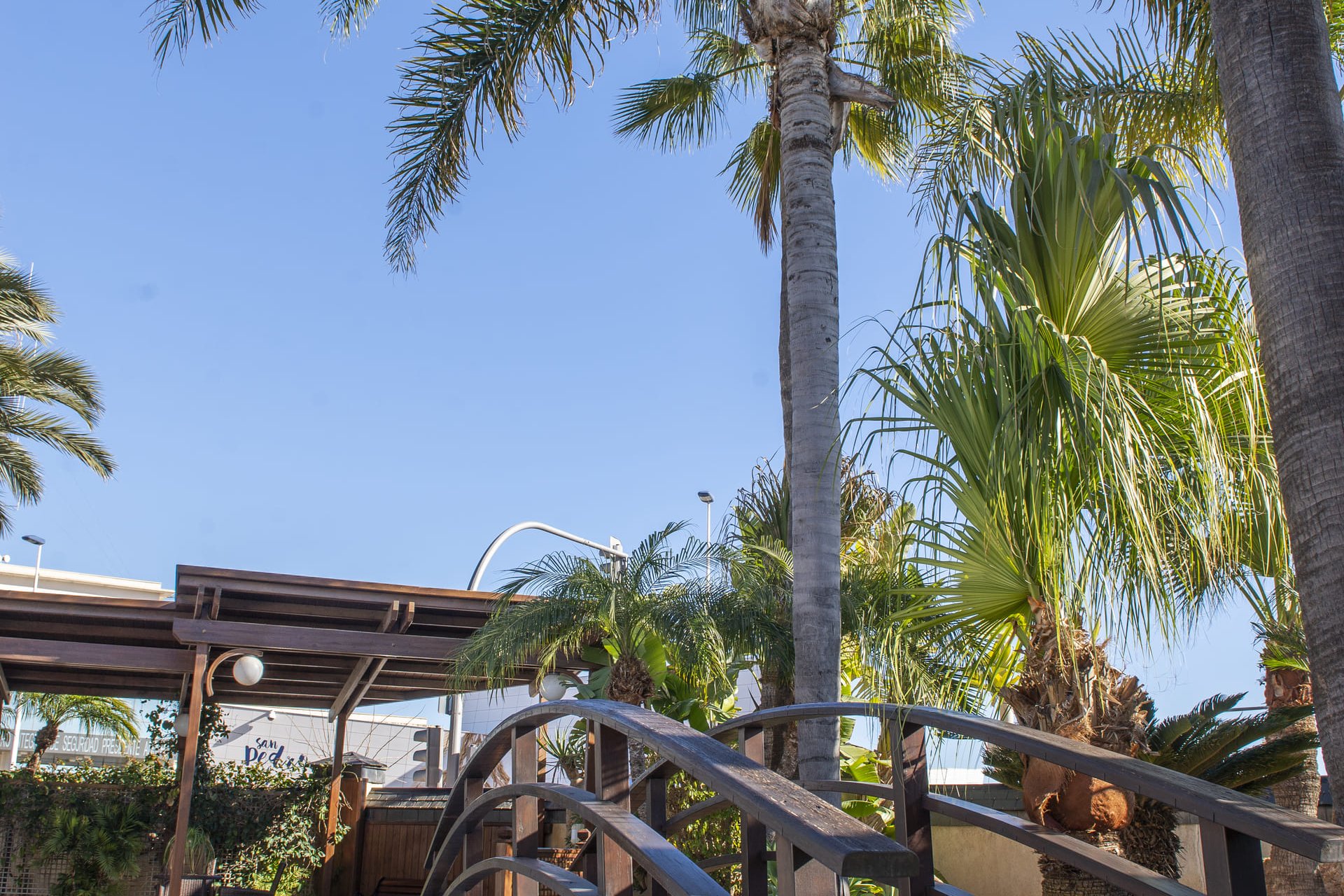 Obra nueva - Villa - San Pedro del Pinatar - San Pedro Del Pinatar