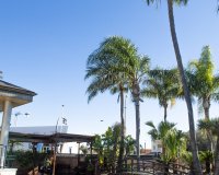 Obra nueva - Villa - San Pedro del Pinatar - San Pedro Del Pinatar