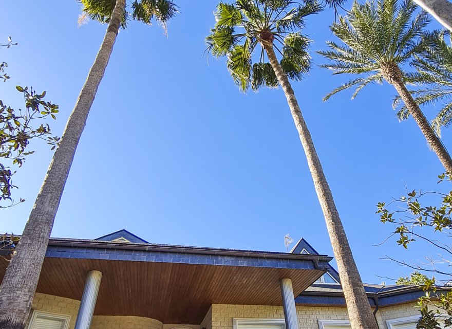 Obra nueva - Villa - San Pedro del Pinatar - San Pedro Del Pinatar