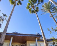 Obra nueva - Villa - San Pedro del Pinatar - San Pedro Del Pinatar