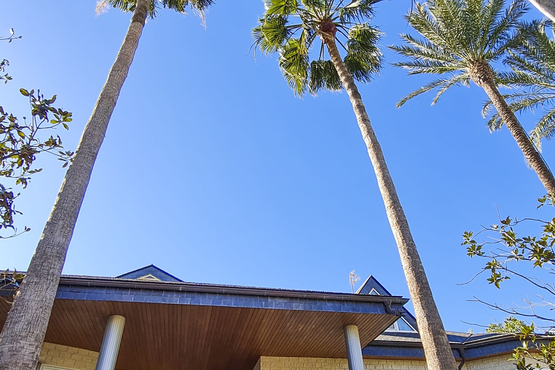 Obra nueva - Villa - San Pedro del Pinatar - San Pedro Del Pinatar