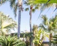 Obra nueva - Villa - San Pedro del Pinatar - San Pedro Del Pinatar