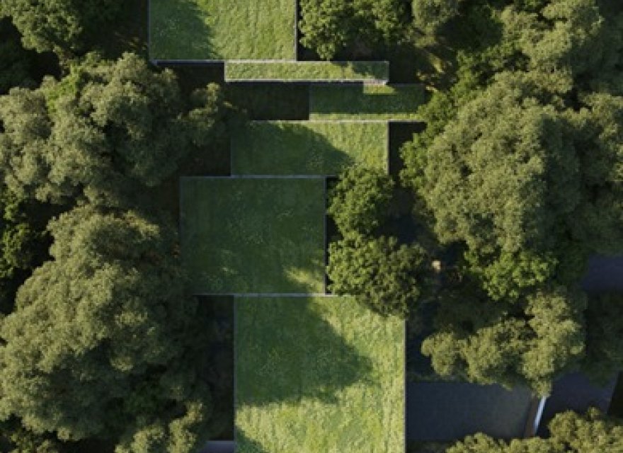 Obra nueva - Villa - San Roque