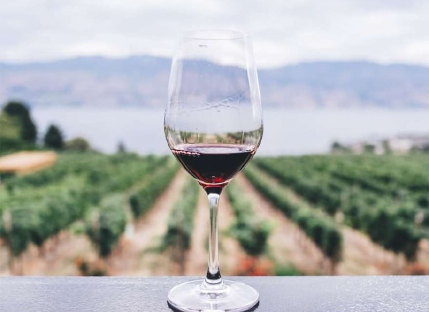 Obra nueva - Villa - Sencelles