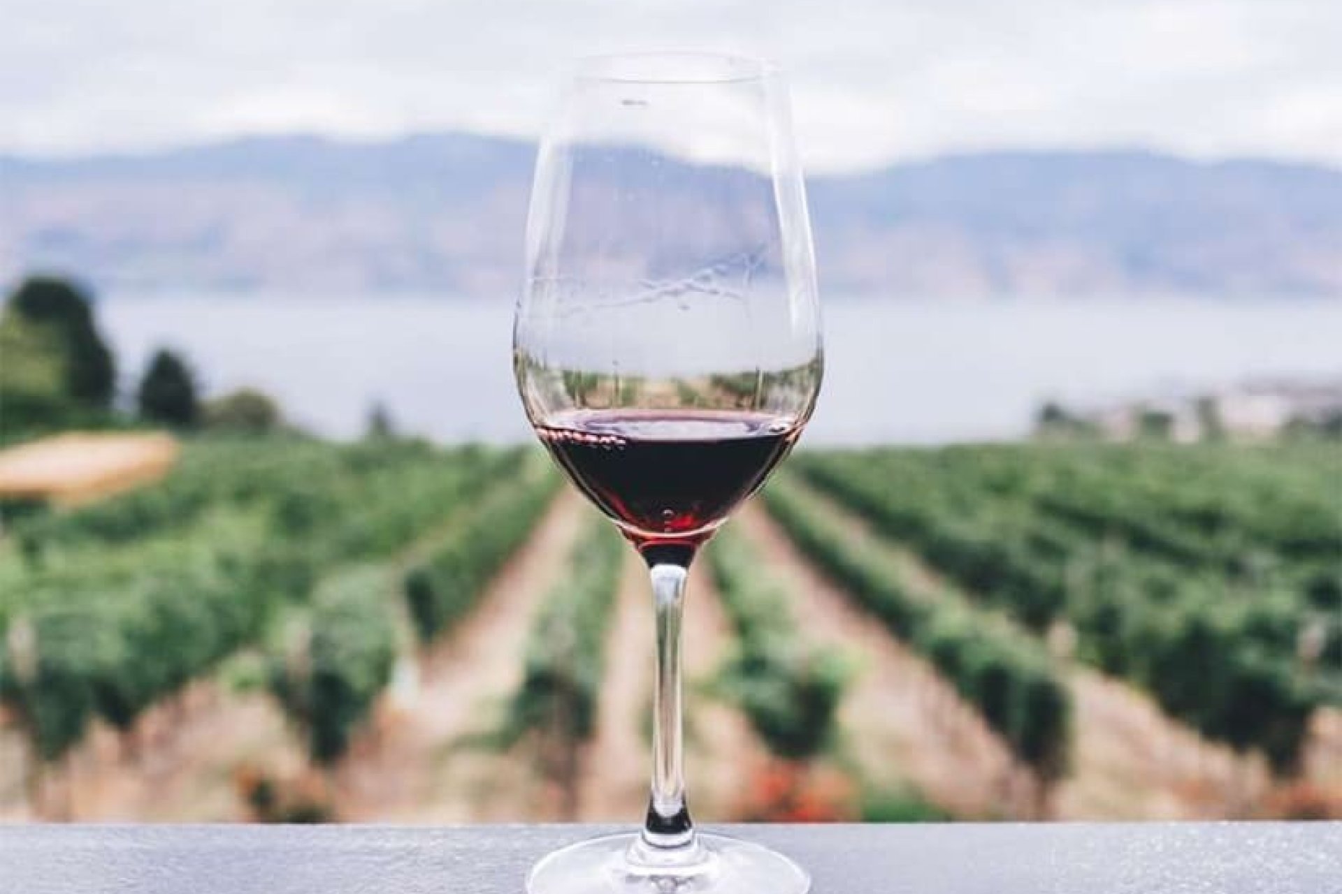 Obra nueva - Villa - Sencelles