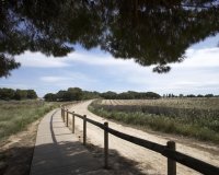 Obra nueva - Villa - Torrevieja - Parque Acuático - Sector 25