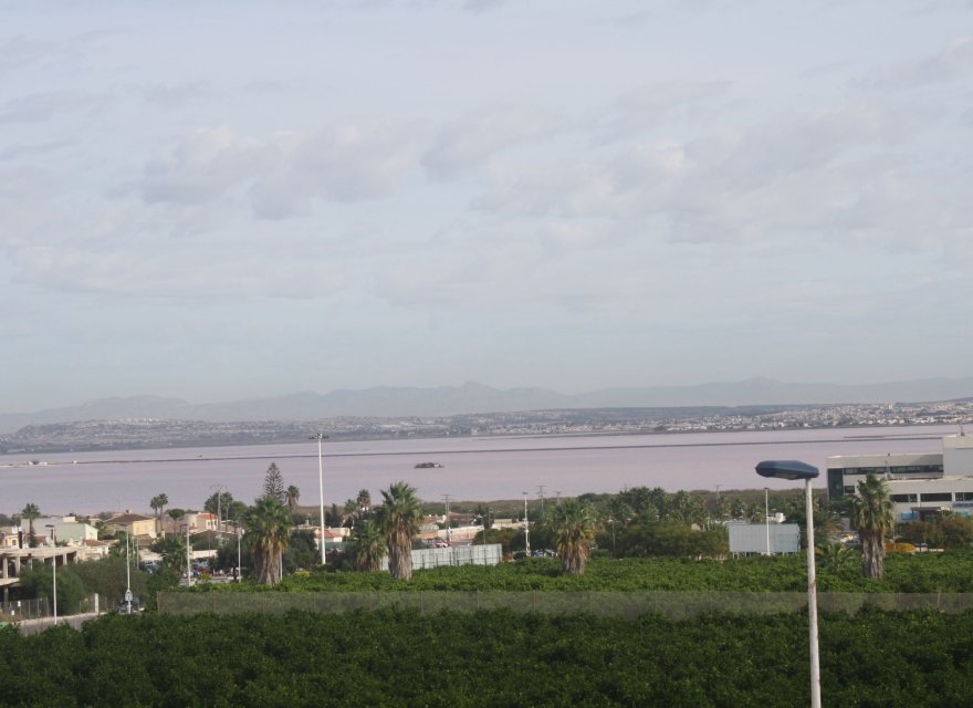 Obra nueva - Villa - Torrevieja