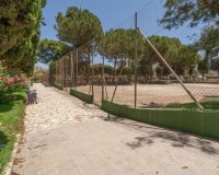 Odsprzedaż - Apartament - Alicante - Alicante / Alacant
