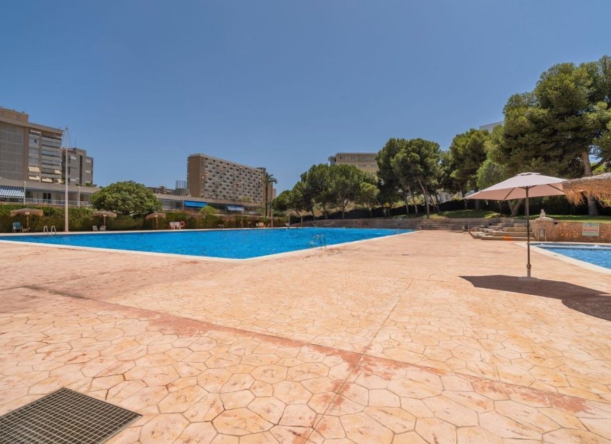 Odsprzedaż - Apartament - Alicante - Alicante / Alacant