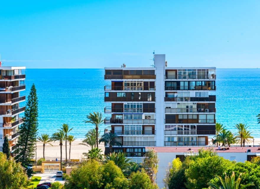 Odsprzedaż - Apartament - Alicante - Alicante (San Juan)