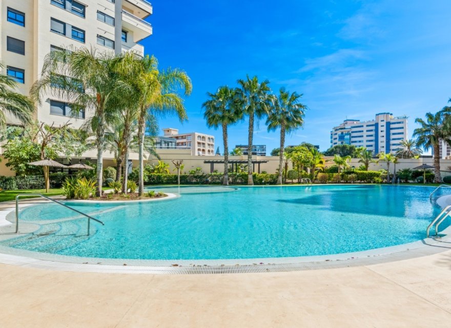 Odsprzedaż - Apartament - Alicante - Alicante (San Juan)