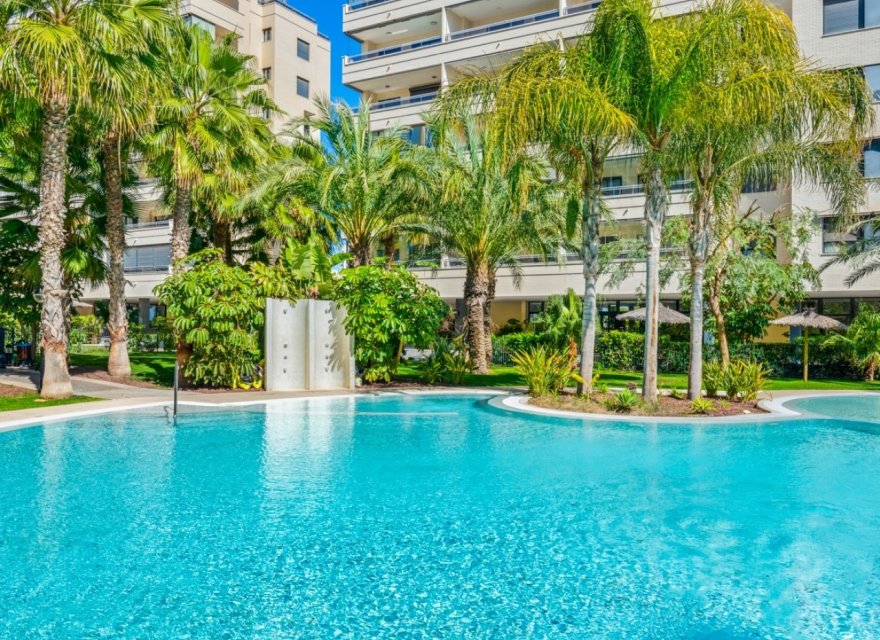 Odsprzedaż - Apartament - Alicante - Alicante (San Juan)