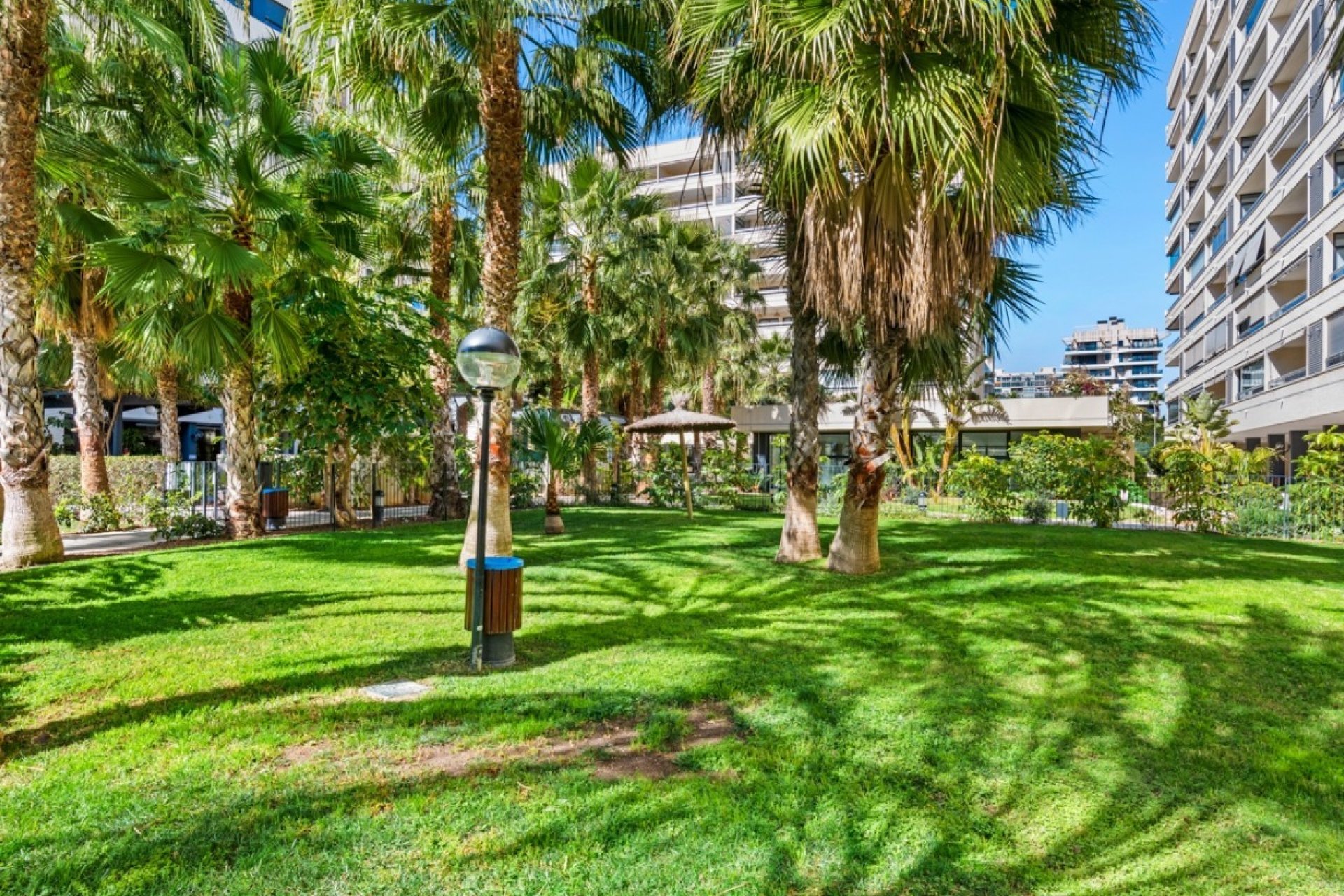 Odsprzedaż - Apartament - Alicante - Alicante (San Juan)