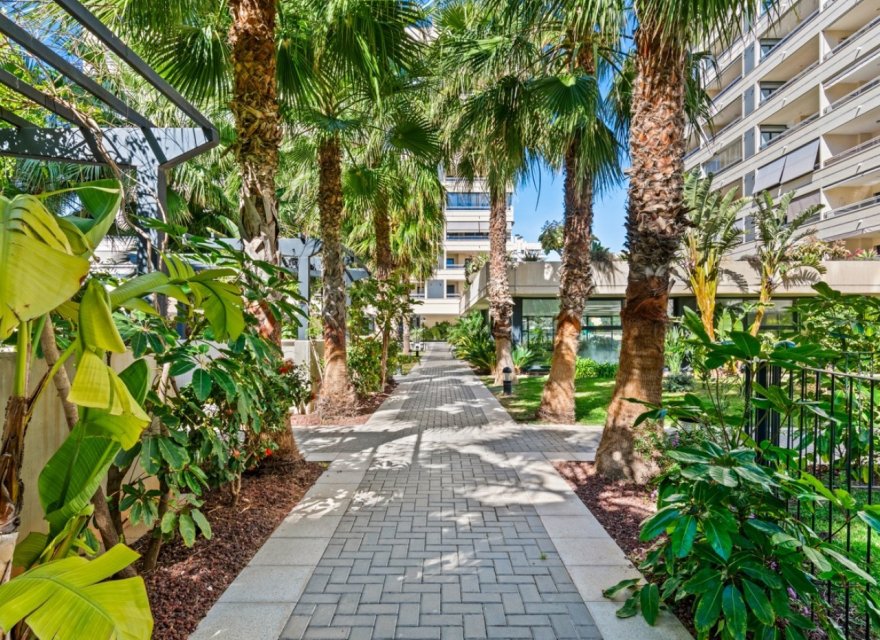 Odsprzedaż - Apartament - Alicante - Alicante (San Juan)