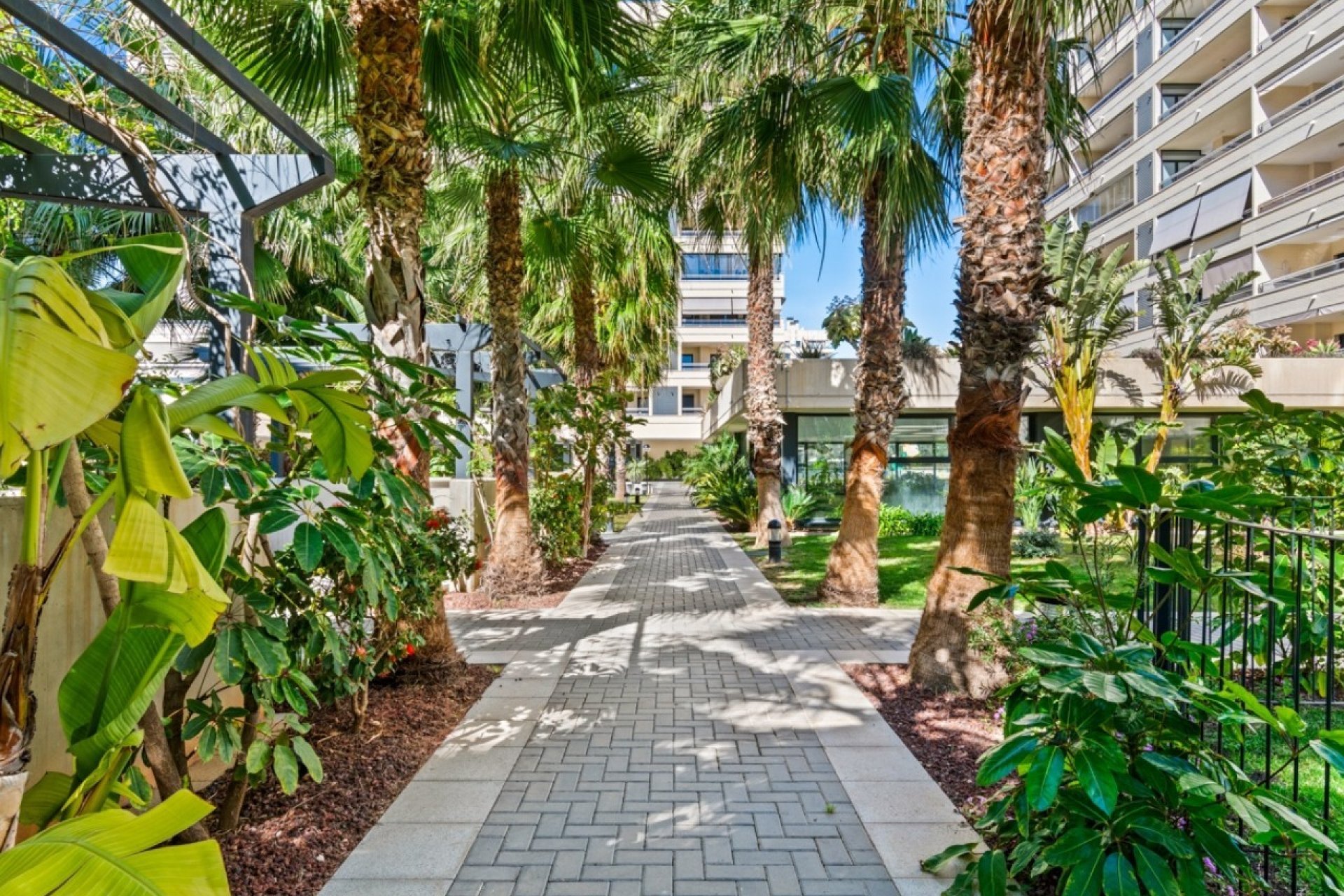 Odsprzedaż - Apartament - Alicante - Alicante (San Juan)