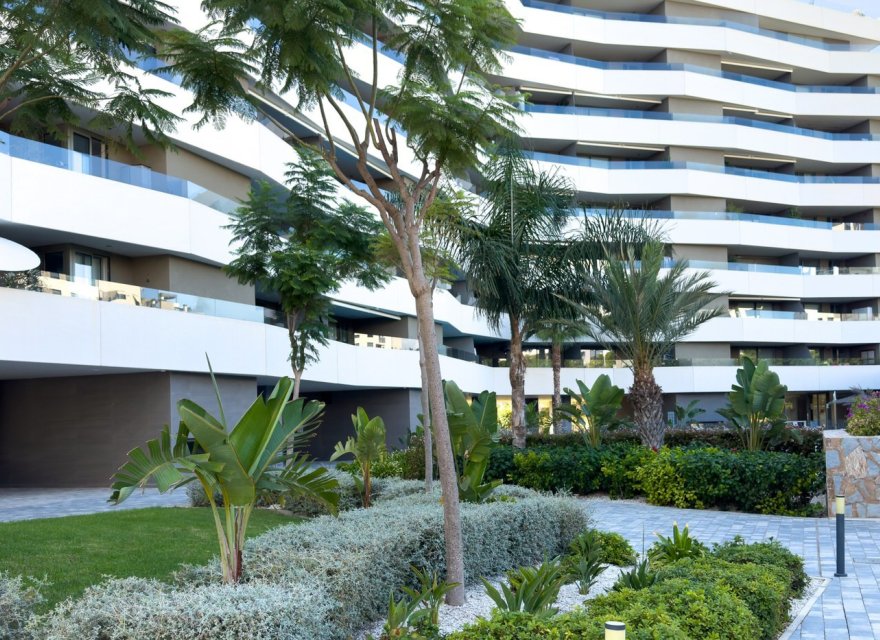 Odsprzedaż - Apartament - Alicante - San Juan de Alicante