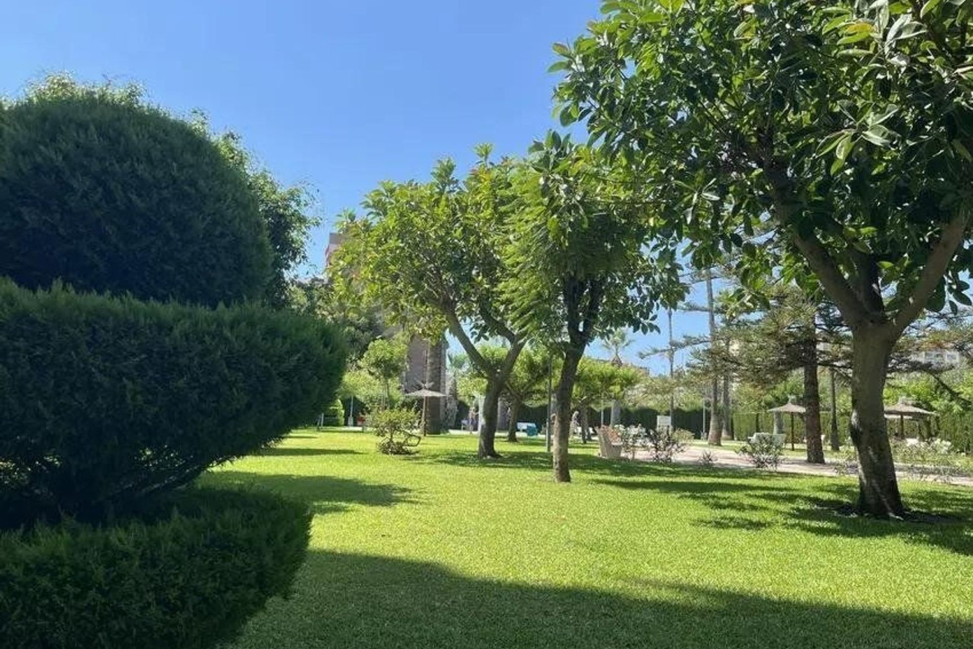 Odsprzedaż - Apartament - Alicante - San Juan de Alicante