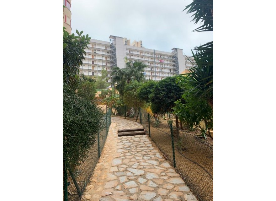 Odsprzedaż - Apartament - Benidorm - Costa Blanca