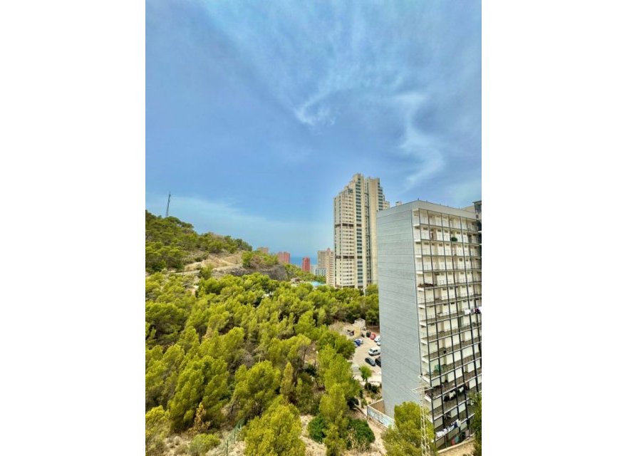 Odsprzedaż - Apartament - Benidorm - Costa Blanca