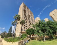 Odsprzedaż - Apartament - Benidorm - Costa Blanca