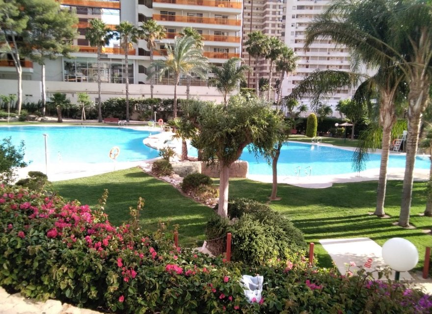 Odsprzedaż - Apartament - Benidorm - Rincón de Loix