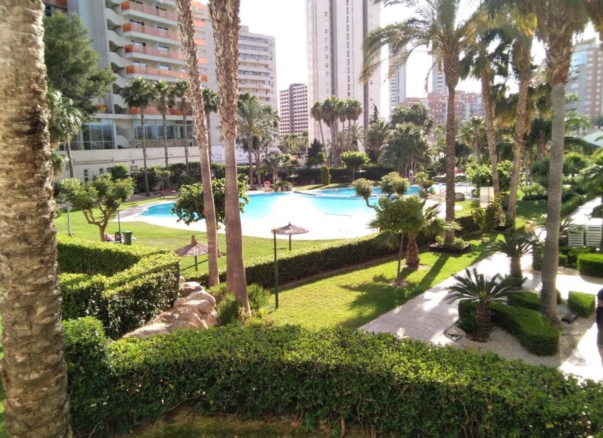 Odsprzedaż - Apartament - Benidorm - Rincón de Loix