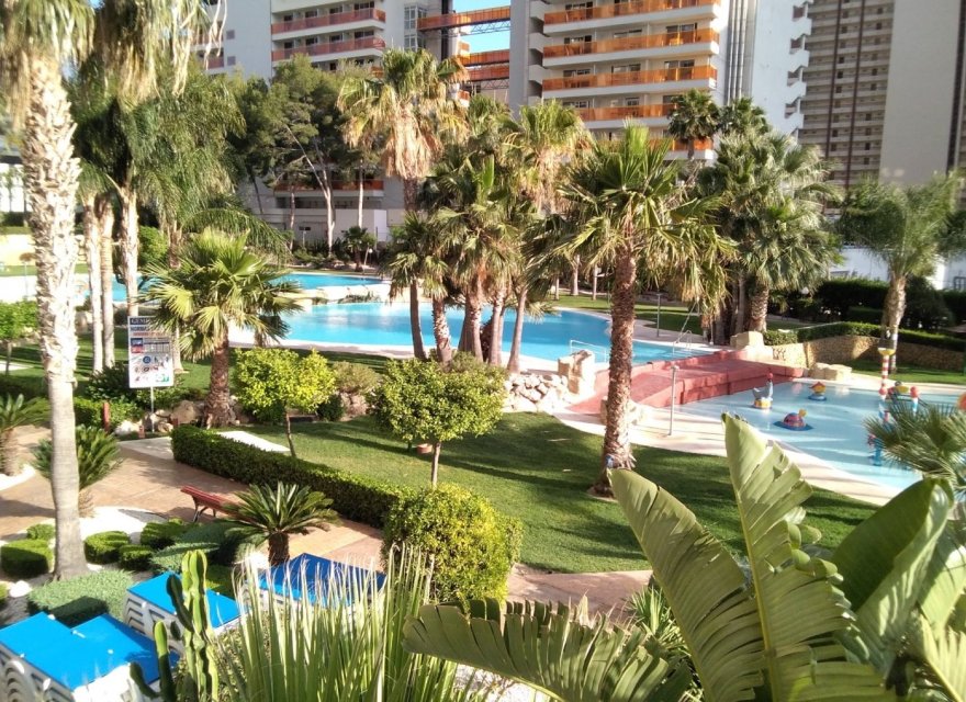 Odsprzedaż - Apartament - Benidorm - Rincón de Loix