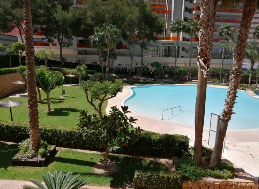 Odsprzedaż - Apartament - Benidorm - Rincón de Loix