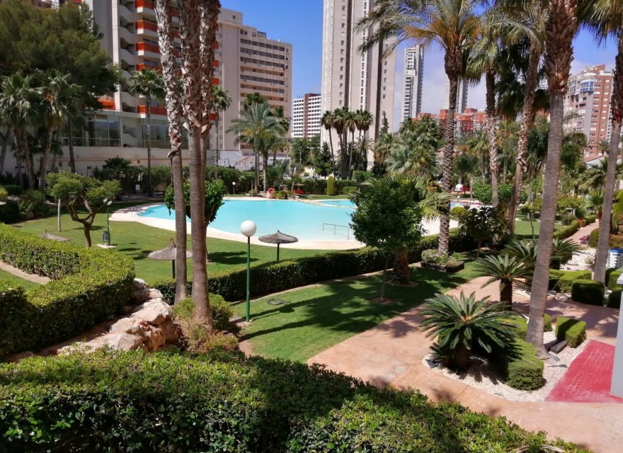 Odsprzedaż - Apartament - Benidorm - Rincón de Loix