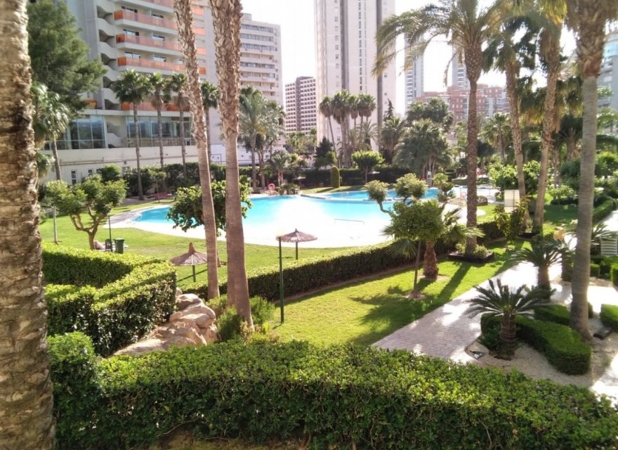 Odsprzedaż - Apartament - Benidorm - Rincón de Loix