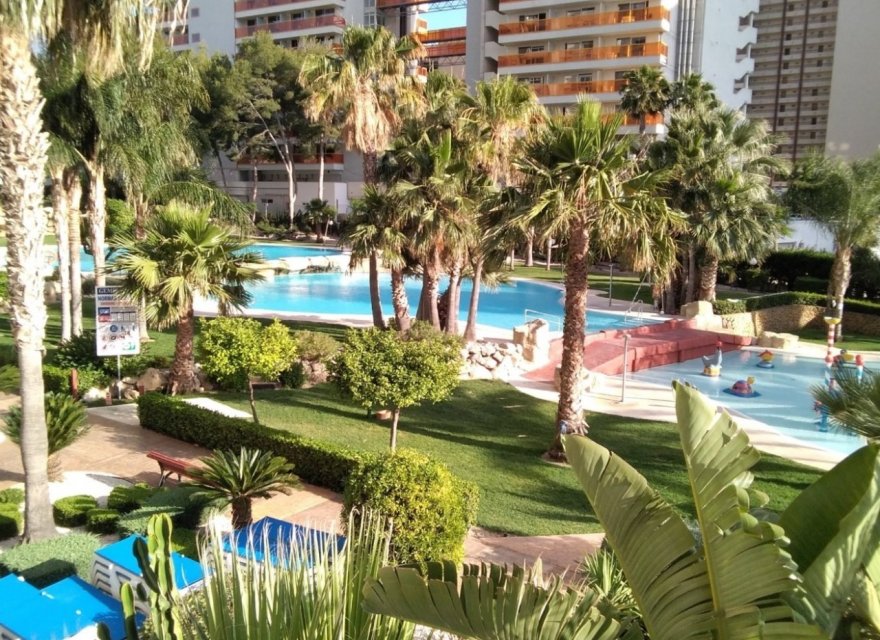 Odsprzedaż - Apartament - Benidorm - Rincón de Loix