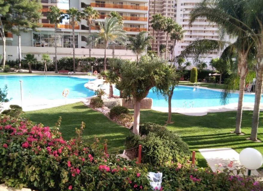 Odsprzedaż - Apartament - Benidorm - Rincón de Loix