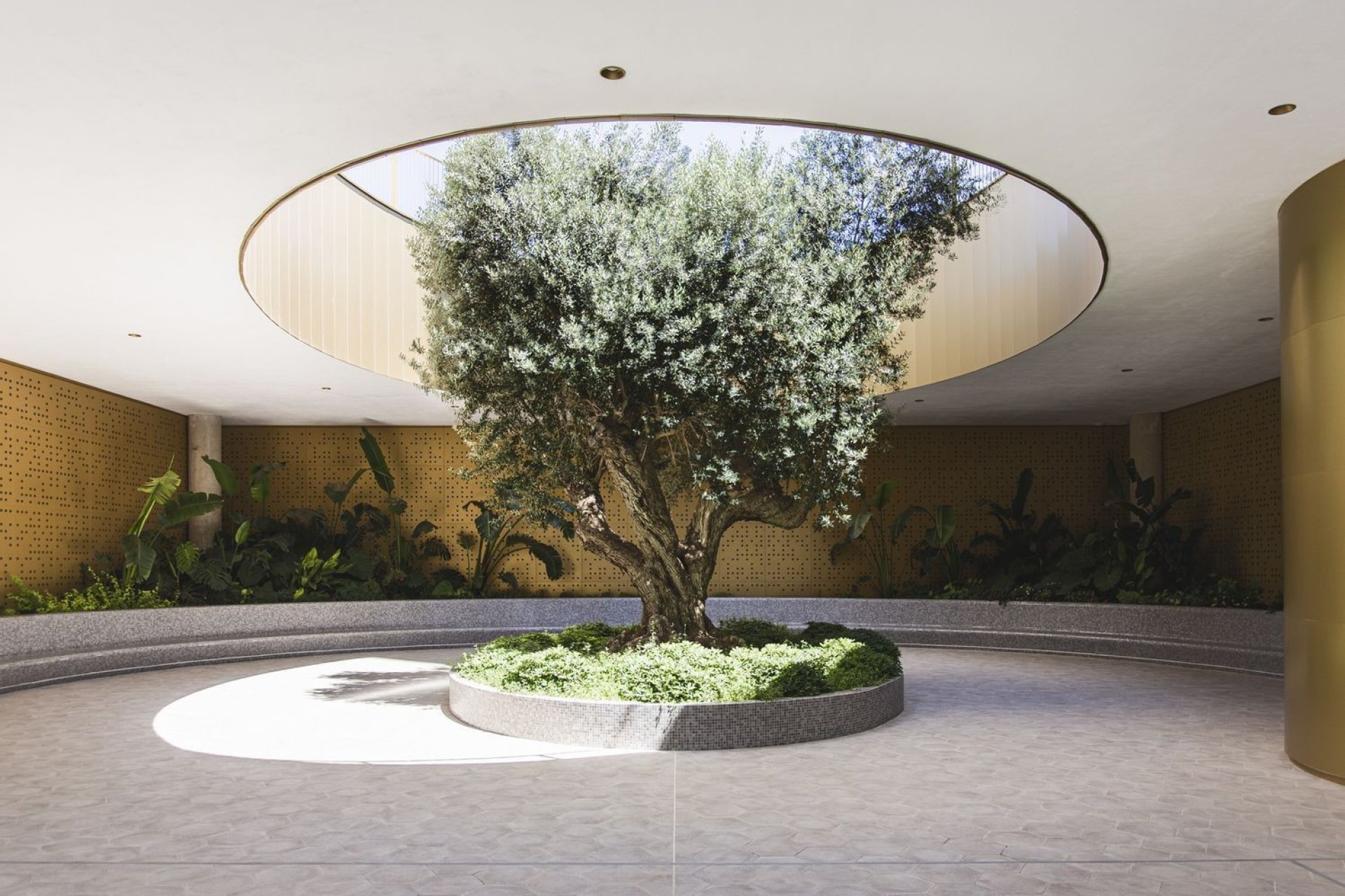 Odsprzedaż - Apartament - Benidorm