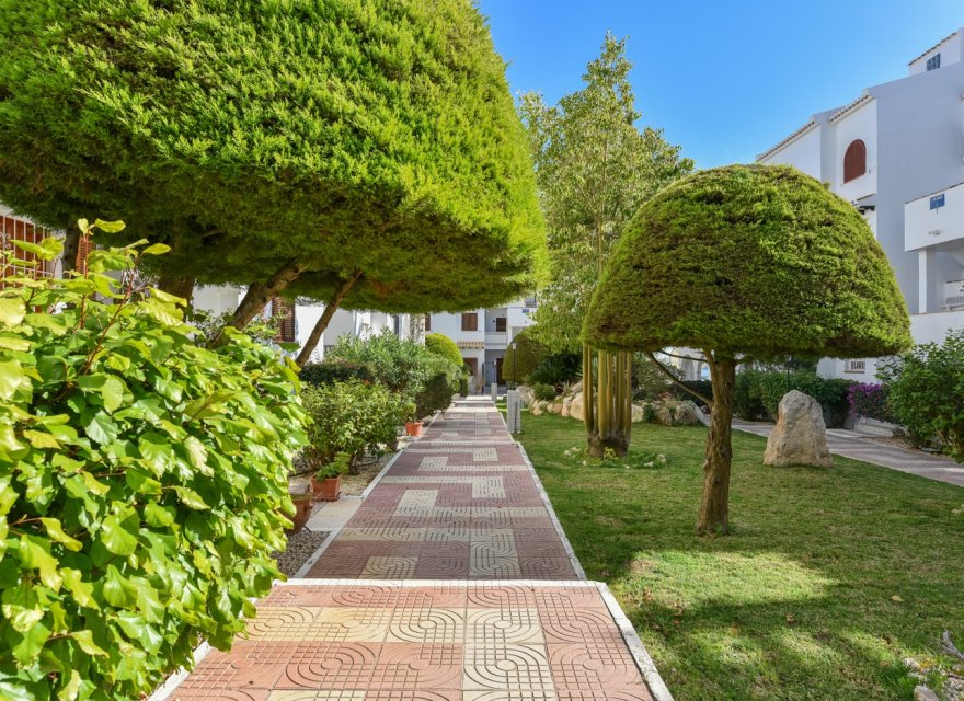 Odsprzedaż - Apartament - Ciudad Quesada