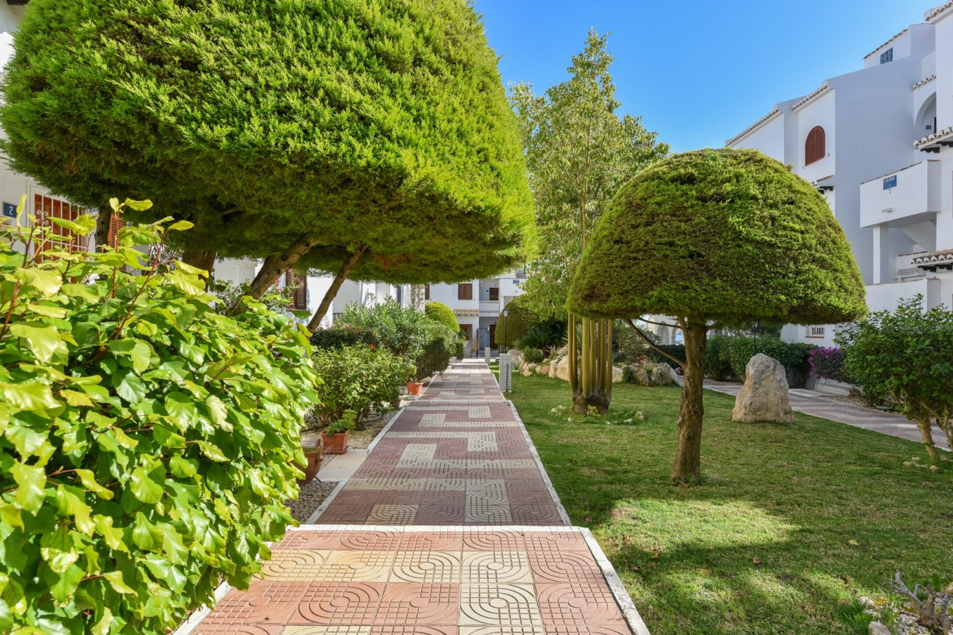 Odsprzedaż - Apartament - Ciudad Quesada