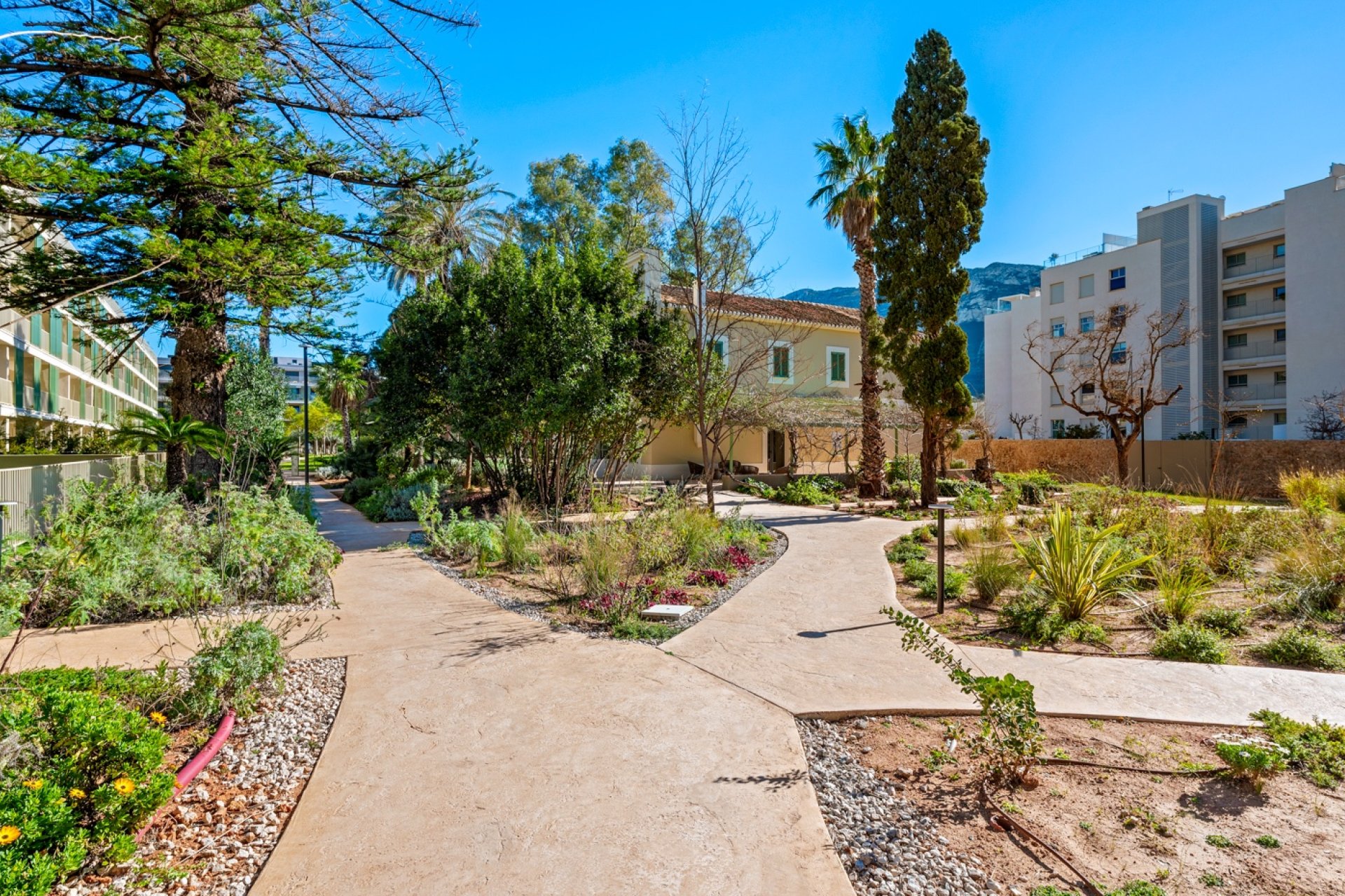 Odsprzedaż - Apartament - Denia - Puerto