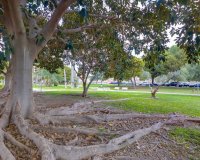 Odsprzedaż - Apartament - El Campello - Playa Muchavista