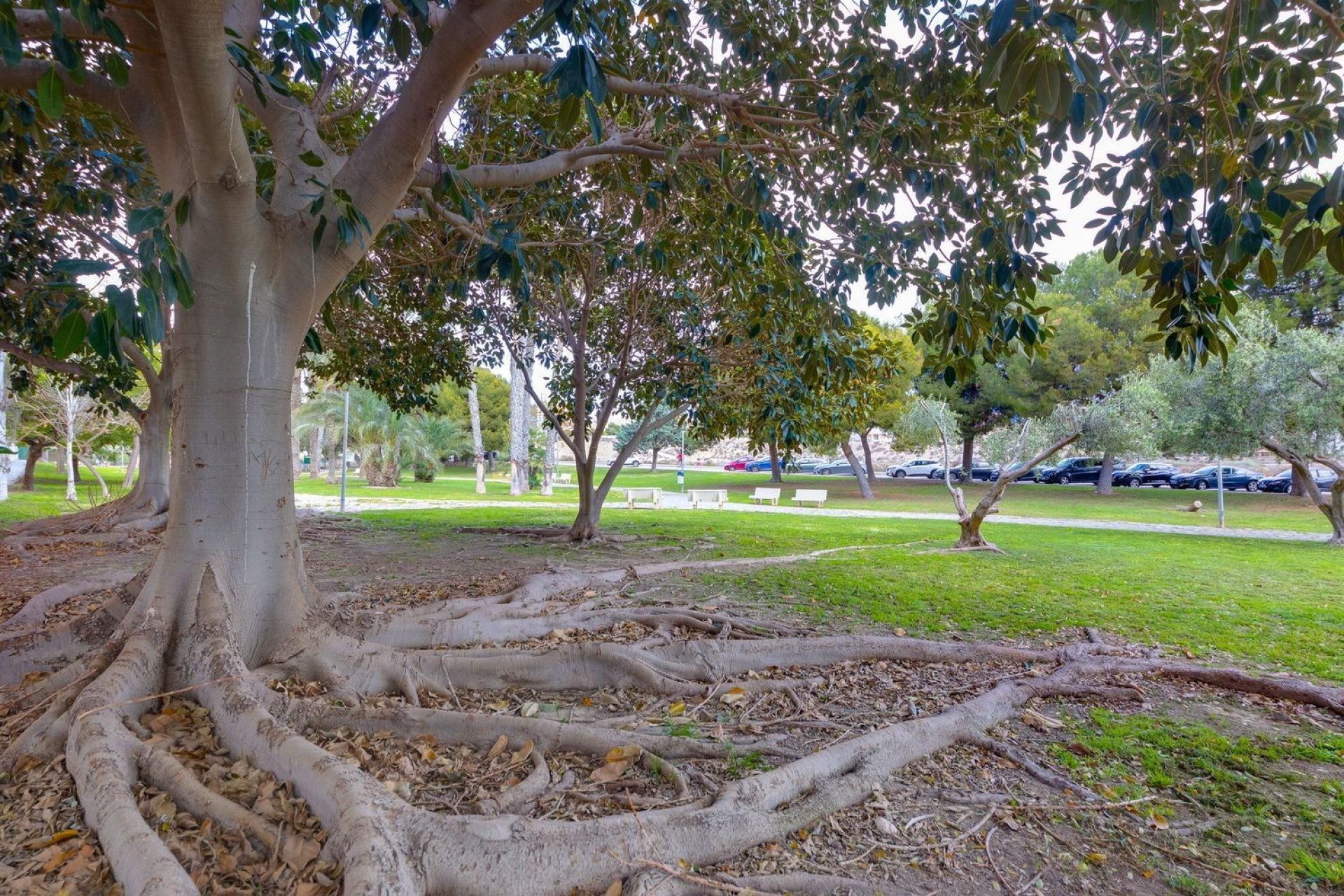 Odsprzedaż - Apartament - El Campello - Playa Muchavista