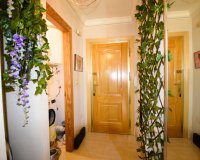 Odsprzedaż - Apartament - Guardamar del Segura - Campomar