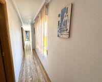 Odsprzedaż - Apartament - Guardamar del Segura