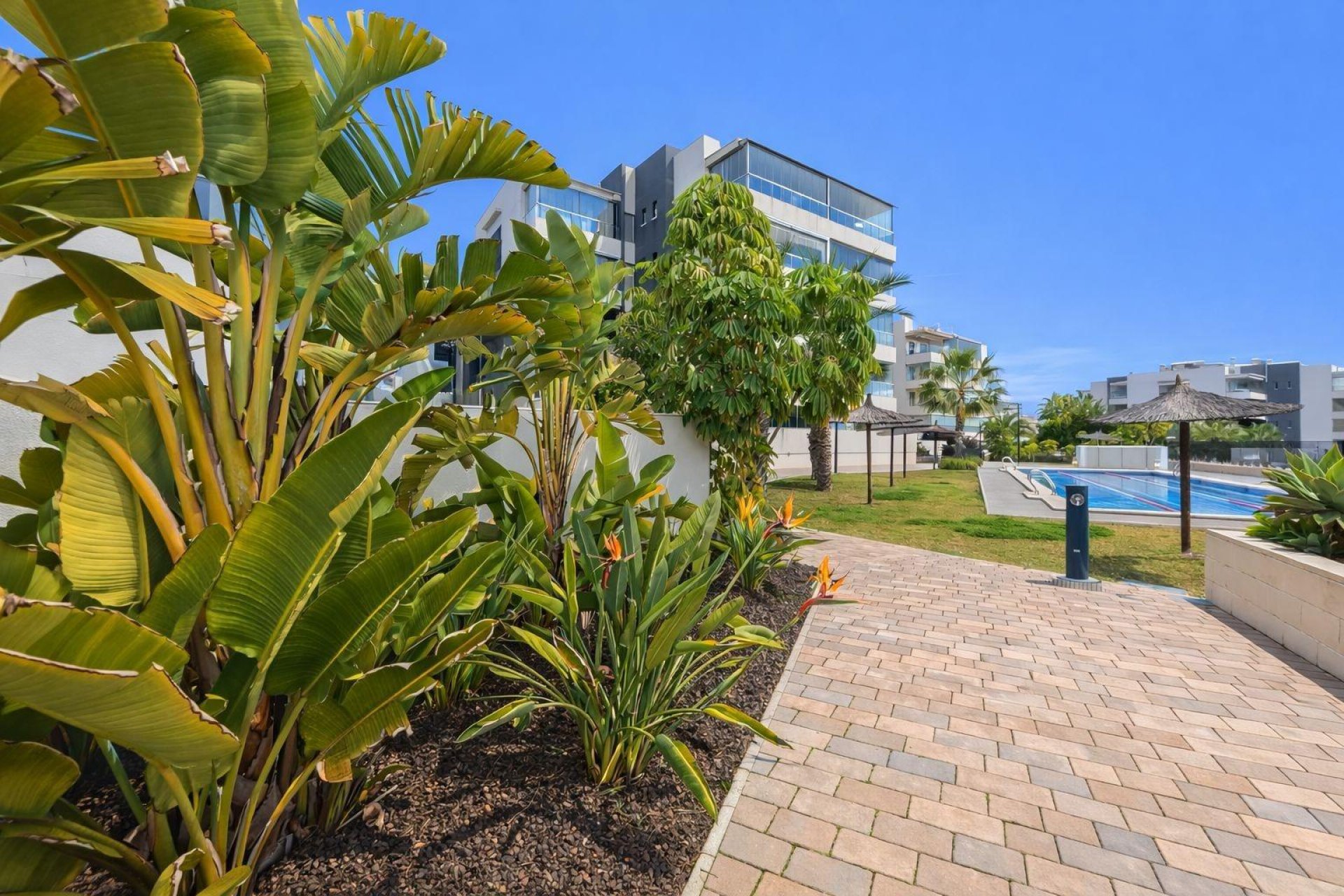 Odsprzedaż - Apartament - Orihuela Costa - Villamartín