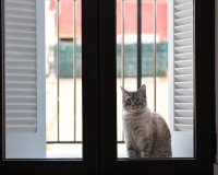 Odsprzedaż - Apartament - Palma de Mallorca - Palma