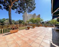 Odsprzedaż - Apartament - Palmanova