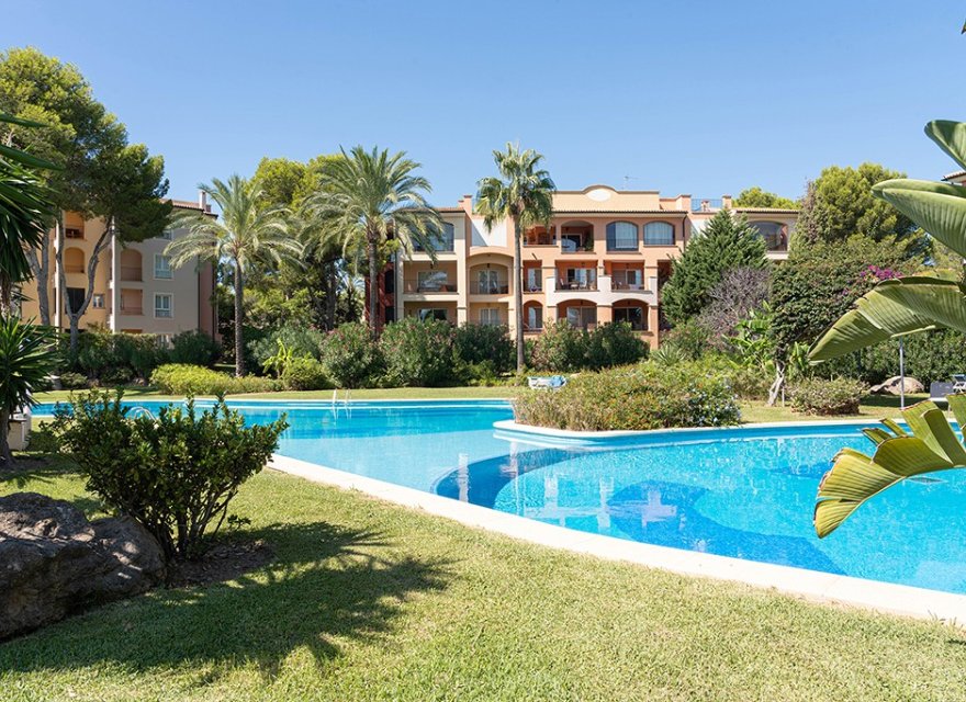 Odsprzedaż - Apartament - Santa Ponsa