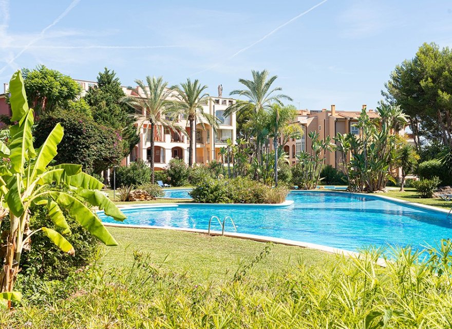 Odsprzedaż - Apartament - Santa Ponsa