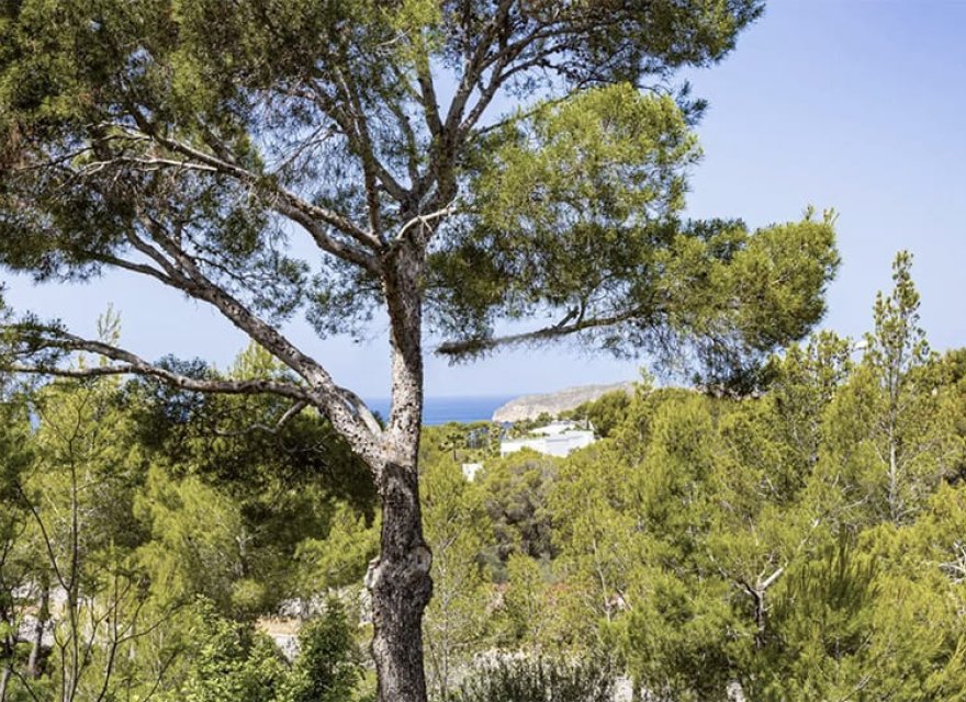 Odsprzedaż - Apartament - Santa Ponsa