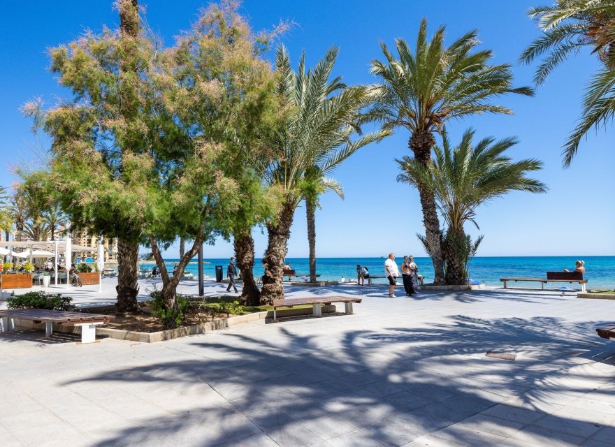 Odsprzedaż - Apartament - Torrevieja - Las Piscinas Naturales