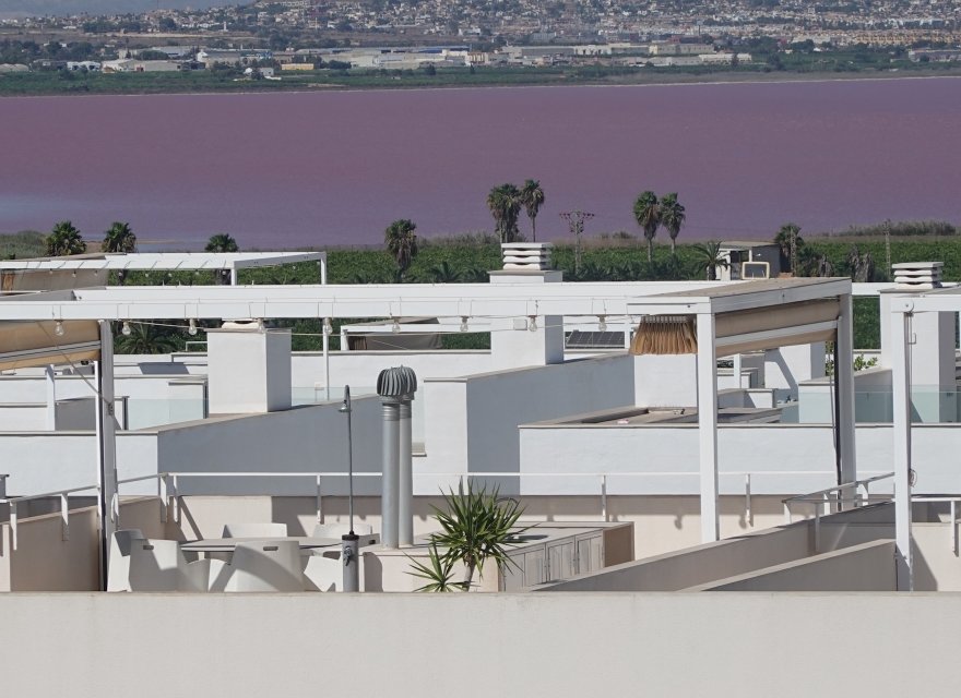 Odsprzedaż - Apartament - Torrevieja - Los Balcones